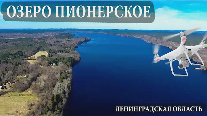 Озеро Пионерское. Озеро Смерти.  д. Малышево. DJI. С высоты.
