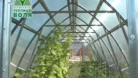 Теплицы Воля  Дачная Стрелка 3