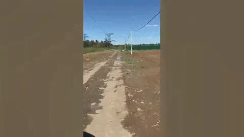 Московская обл., г.о. Химки, квартал дачной застройки Кранкино, Луговая ул.