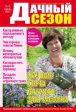 Дачный сезон - советы читателей-2