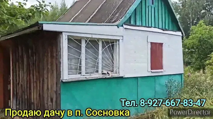 Продаю дачный участок в Сосновке