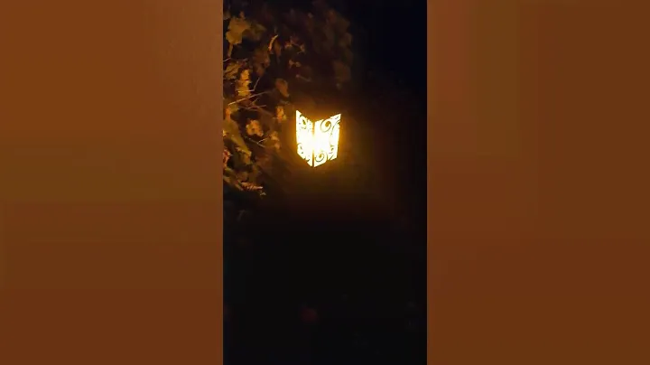 Уличные фонари и светильники для дома и дачи. #light #garden #улица #свет #фонарь #дача #сад #home