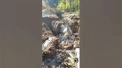Дом разбор | Вывоз мусора