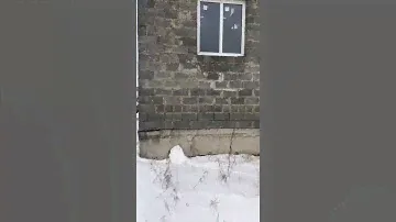Ленинградская область, Гатчинский район, массив "Ивановка", СТ "Ижора.