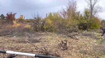 Снт Тополек 10 соток расчистка участка часть 1