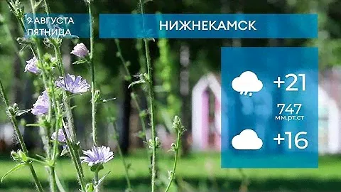 Прогноз погоды в Нижнекамске на 13-е июля 2024 года