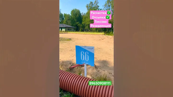 ИДЕАЛЬНАЯ ПЛАНИРОВКА ДАЧНОГО УЧАСТКА #дача #стройка #участок #сад #дачныйвлог #строительство #спб