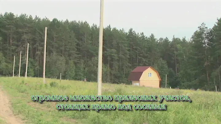 посёлок Родники