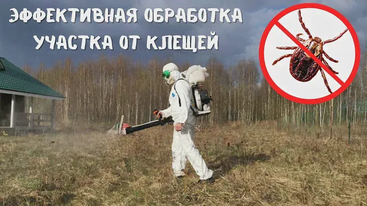 Обработка участка от клещей | Акарицидная обработка | Обработка участка от комаров.