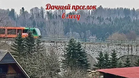 Дачный поселок в лесу…