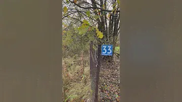 Продается земельный участок 4,8 соток в СНТ Железнодорожник - 2, Александровский район