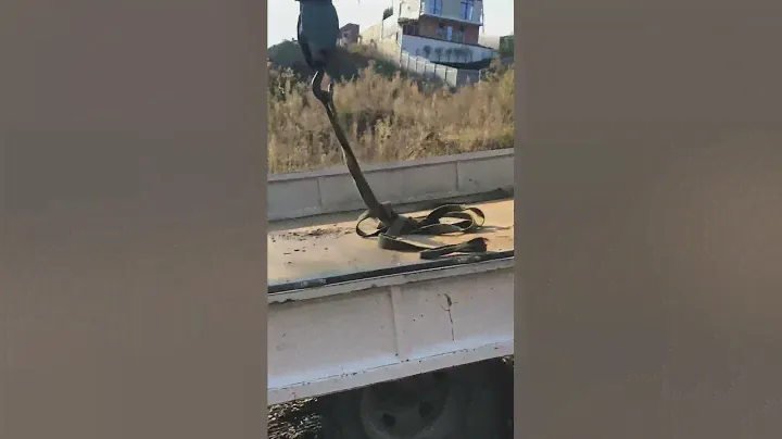 Снт флора 2 участка