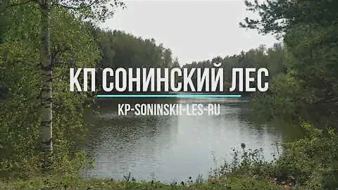 Коттеджный посёлок Сонинский Лес