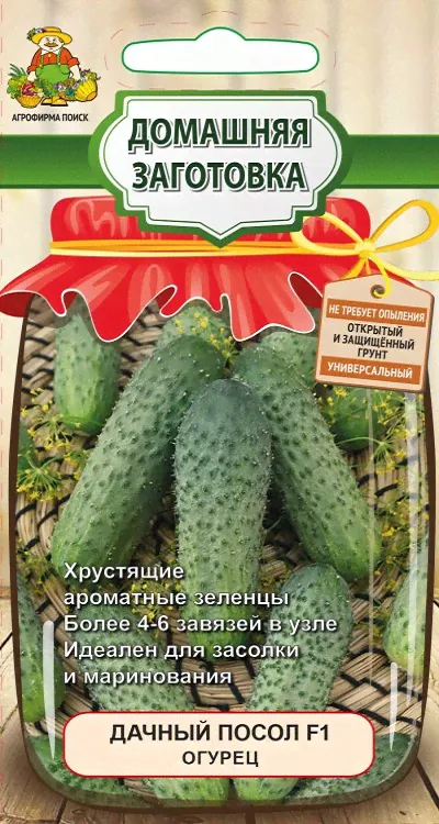 Огурец Дачный Посол 12шт Поиск