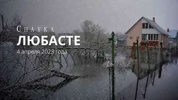 Затопленный дачный посёлок Любасте, 4 апреля 2023 года