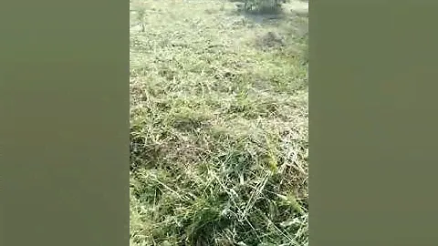 участок в Можайском районе
