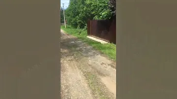 Продаётся участок снт богатырь