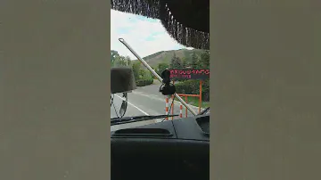Сосновка
