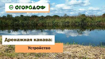 Дренажная канава. Как укрепить и чем обсыпать берег? 16+