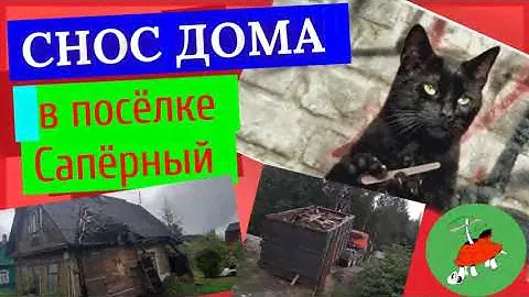 Снос домов в Ленинградской области.