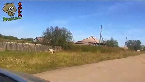 Обзор деревни Малиновка