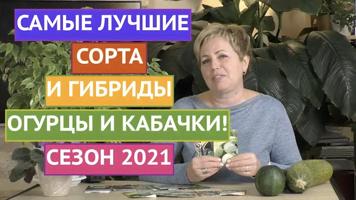 РЕКОМЕНДУЮ! ЛУЧШИЕ СОРТА/ГИБРИДЫ ОГУРЦОВ И КАБАЧКОВ!