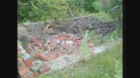 Люди не смогли бросить свой дачный участок и ухаживают за ним в лесу