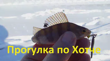 Прогулка по реке Хотча 02 02 2017