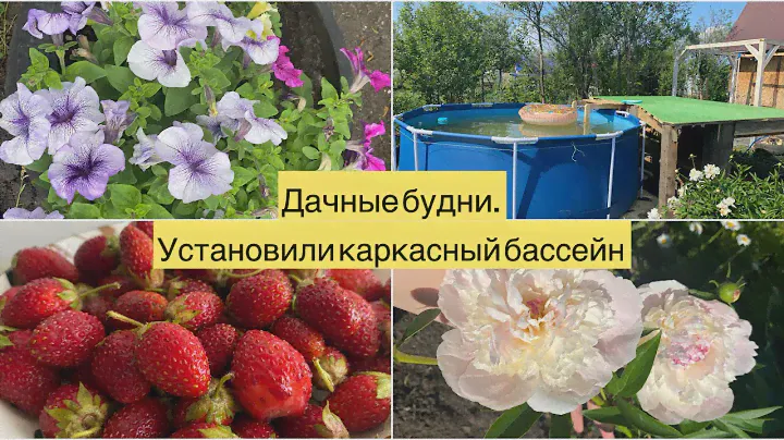 ДАЧНЫЕ БУДНИ #3 | УСТАНОВИЛИ КАРКАСНЫЙ БАССЕЙН | ПЕРВАЯ КЛУБНИКА | ПИОНЫ, ПЕТУНИИ | НАША ДАЧА