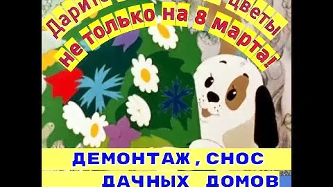 Снос дачных домов, сараев в Санкт-Петербурге и Ленинградской области (до 100 км от КАД)