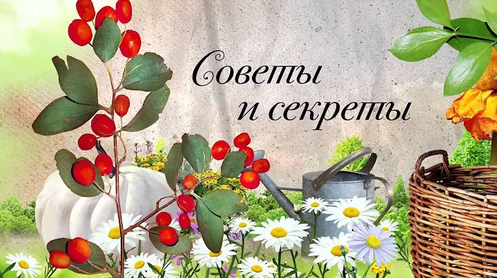 Дачный душ и туалет ООО «Мир» завод «Агросфера»