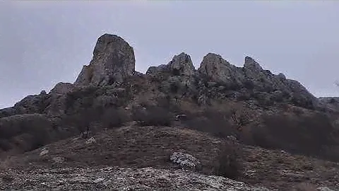 Таракташ. Село Дачное. Судакский регион. Много крокусов. В горах пасутся козы. Конец февраля.