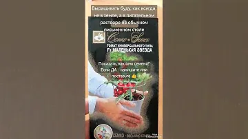 СКОРО БУДУ СЕЯТЬ! Новые для меня сорта домашних #томатов! #помидоры, #черри, #выращиваемдома