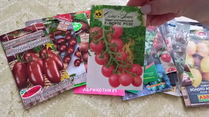 Высокорослые черри томаты для теплиц.м-н ДАЧА г.Каменск-Уральский 25.02.2023
