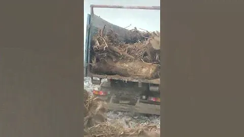 вывоз мусора ломовозом