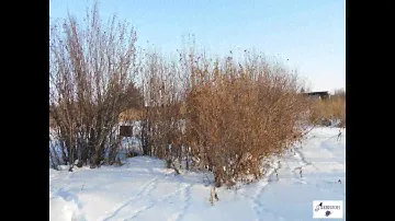 Продаю дачный участок по Сыропятскому тракту