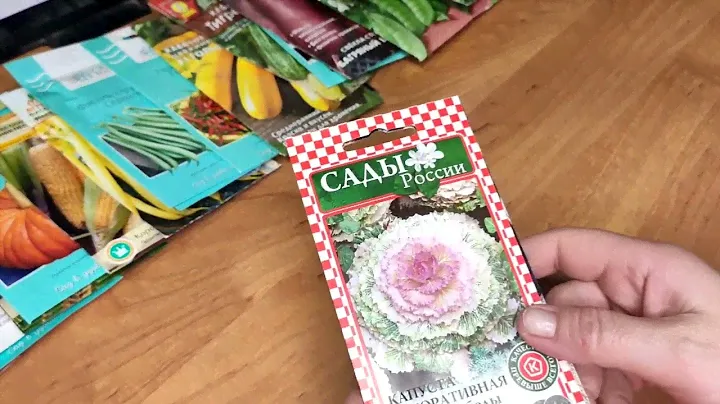 #6 Обзор семян овощей на 2022год#дача#садыроссии#партнер#заброшеннаядача