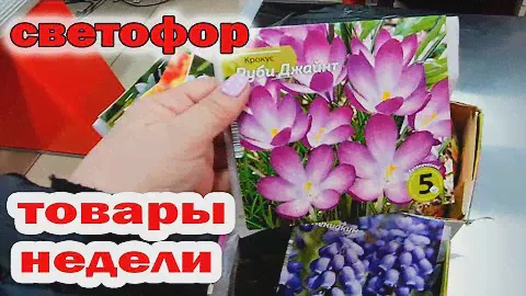 Магазин СВЕТОФОР.Шикарные Новинки.Вот Это Завоз.Обзор МАРТ 2024