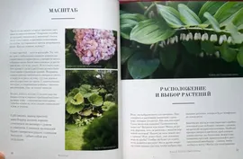 Все в сад! О том, как превратить дачный участок в райский уголок