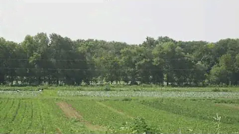 Зелёная Горка
