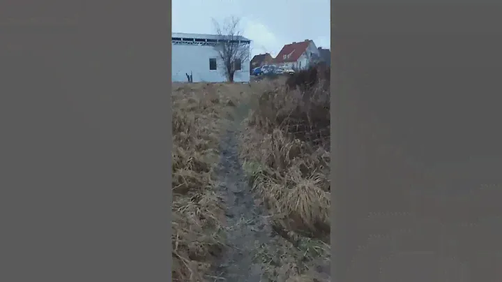 Калининградская область, Гурьевский городской округ, поселок Сосновка, улица Фадеева, 12