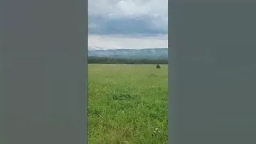Около деревни Злоказово , Челябинская область