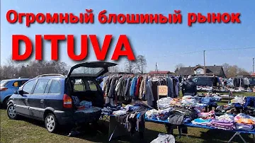 Дитува -дачный посёлок превратился в город.