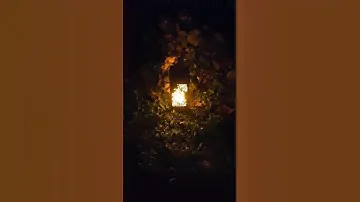 Уличные фонари и светильники для дома и дачи. #light #garden #улица #свет #фонарь #дача #сад #home