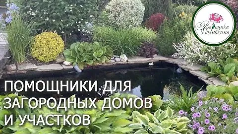 ТАКИЕ ДАЧНЫЕ ПОМОЩНИКИ НАМ НУЖНЫ