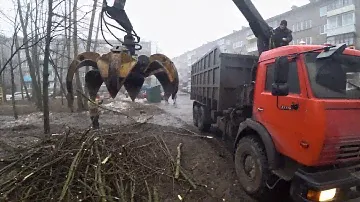 Ломовоз на деревьях