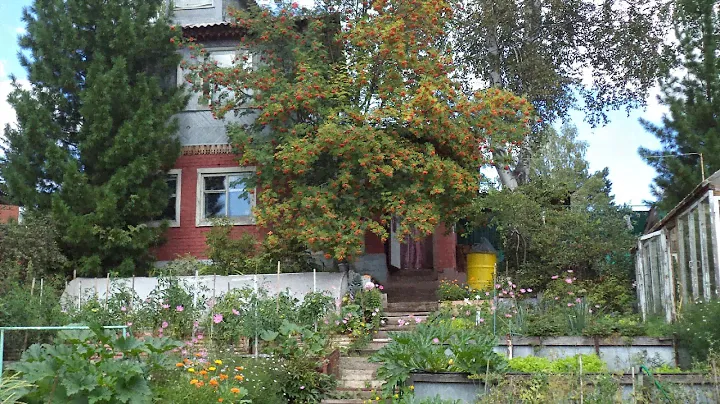 Дача ст Минино СНТ Наука