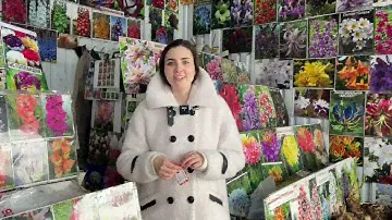 Дачный сезон на Садоводе часть 2