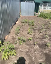 Продам дом 48.0 м² на участке 6.0 сот этажей 1 городской округ Раменский поселок Кратово улица Молодцова 16 дачный пос. Кратово