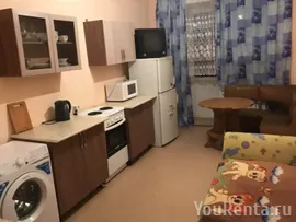 1-комнатная квартира посуточно в Санкт-Петербурге, Дачный проспект , 17к3
